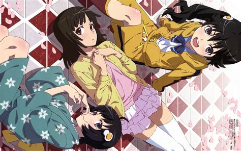 bakemonogatari nisemonogatari|bakemonogatari fandom.